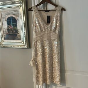 BCBG Maxazaria Dress